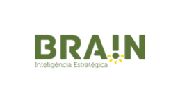 brain